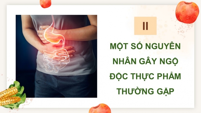 Giáo án điện tử chuyên đề Sinh học 11 cánh diều Bài 8: Vệ sinh an toàn thực phẩm và nguyên nhân gây ngộ độc thực phẩm (P2)