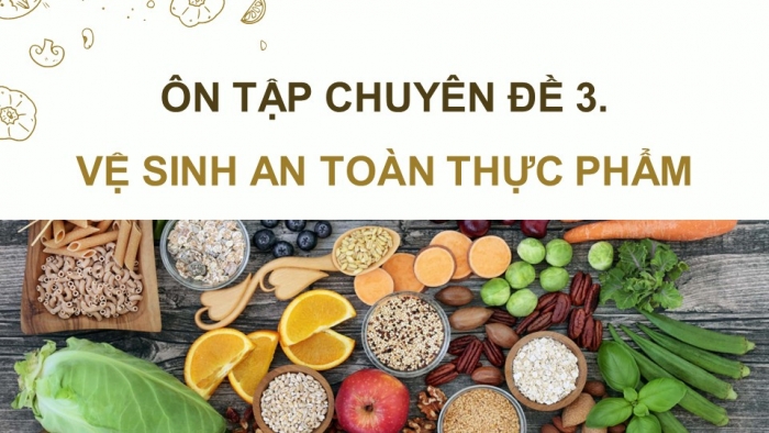 Giáo án điện tử chuyên đề Sinh học 11 cánh diều Ôn tập CĐ 3