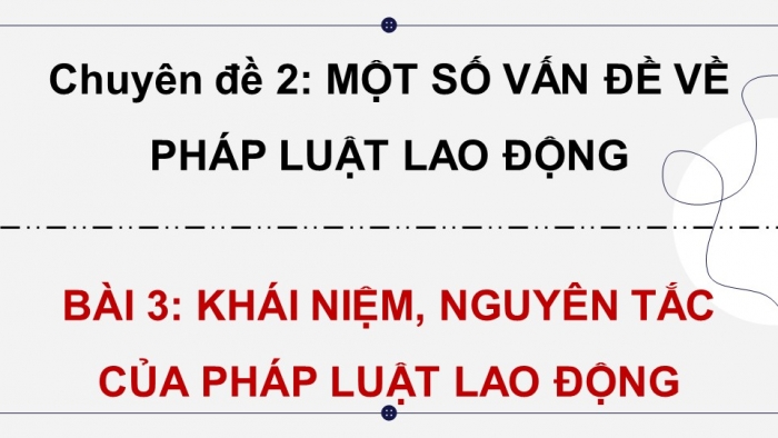 Giáo án điện tử chuyên đề Kinh tế pháp luật 11 cánh diều Bài 3: Khái niệm, nguyên tắc của pháp luật lao động