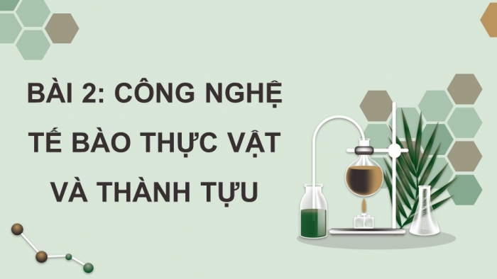 Giáo án điện tử chuyên đề Sinh học 10 chân trời Bài 2: Công nghệ tế bào thực vật và thành tựu