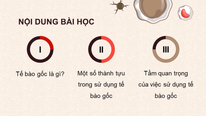 Giáo án điện tử chuyên đề Sinh học 10 chân trời Bài 4: Tế bào gốc và công nghệ tế bào gốc