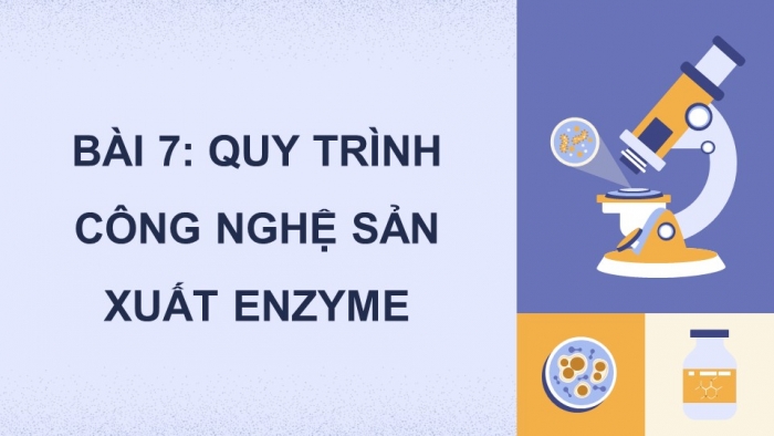 Giáo án điện tử chuyên đề Sinh học 10 chân trời Bài 7: Quy trình công nghệ sản xuất enzyme