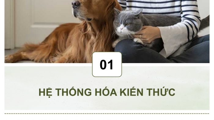 Giáo án điện tử chuyên đề Công nghệ chăn nuôi 11 cánh diều Ôn tập CĐ 2