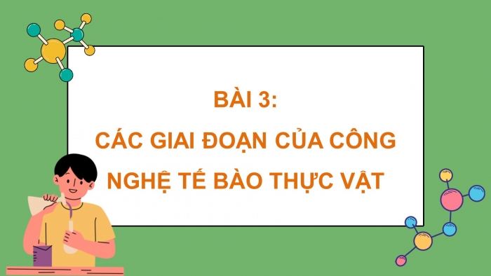 Giáo án điện tử chuyên đề Sinh học 10 cánh diều Bài 3: Các giai đoạn của công nghệ tế bào thực vật