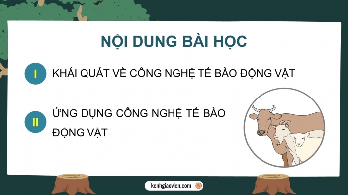 Giáo án điện tử chuyên đề Sinh học 10 cánh diều Bài 4: Cơ sở công nghệ tế bào động vật và ứng dụng