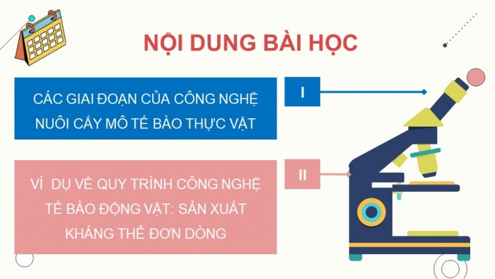 Giáo án điện tử chuyên đề Sinh học 10 cánh diều Bài 5: Các giai đoạn của công nghệ tế bào động vật