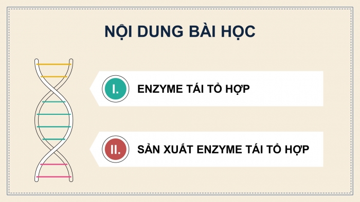 Giáo án điện tử chuyên đề Sinh học 10 cánh diều Bài 9: Sản xuất enzyme tái tổ hợp