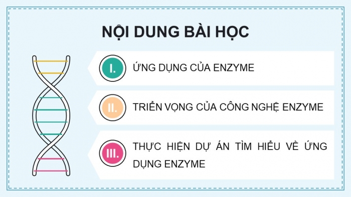 Giáo án điện tử chuyên đề Sinh học 10 cánh diều Bài 10: Ứng dụng và triển vọng của công nghệ enzyme