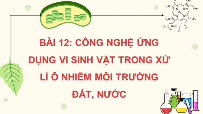 Giáo án điện tử chuyên đề Sinh học 10 cánh diều Bài 12: Công nghệ ứng dụng vi sinh vật trong xử lí ô nhiễm môi trường đất, nước