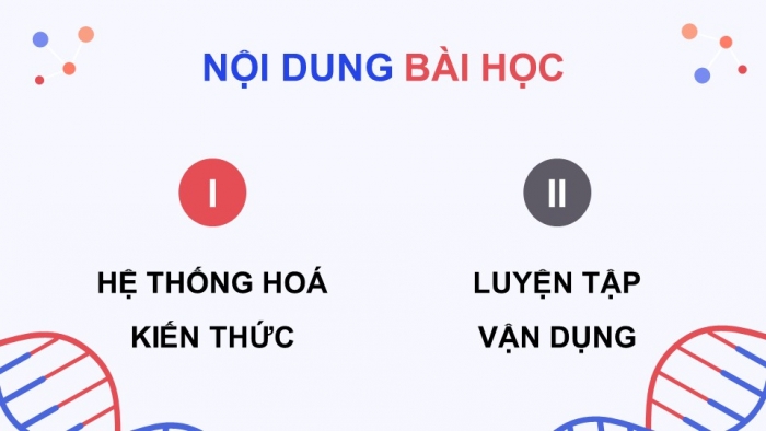 Giáo án điện tử chuyên đề Sinh học 10 cánh diều Ôn tập CĐ 3