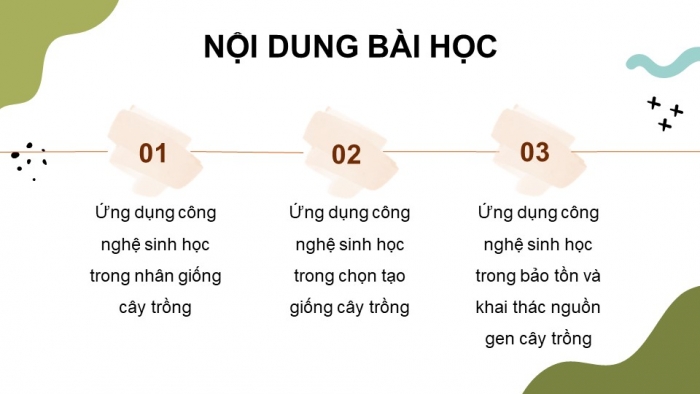 Giáo án điện tử chuyên đề Công nghệ trồng trọt 10 cánh diều Bài 3: Ứng dụng công nghệ sinh học trong chọn tạo giống cây trồng