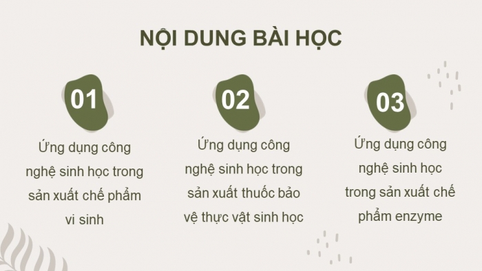 Giáo án điện tử chuyên đề Công nghệ trồng trọt 10 cánh diều Bài 4: Ứng dụng công nghệ sinh học trong sản xuất chế phẩm sinh học