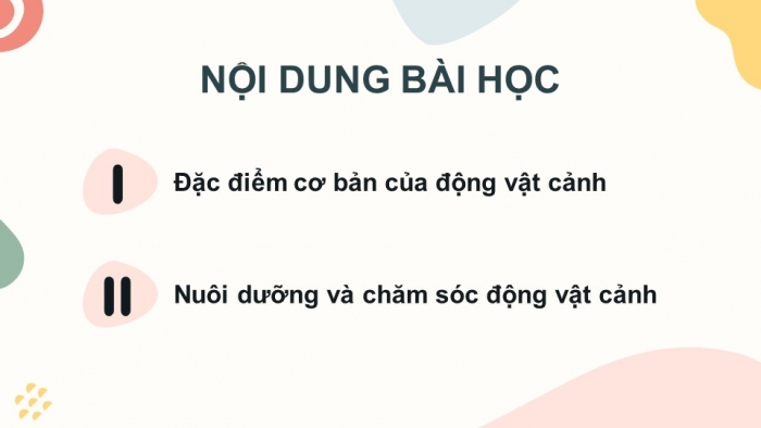 Giáo án điện tử chuyên đề Công nghệ chăn nuôi 11 kết nối Bài 6: Giới thiệu về động vật cảnh