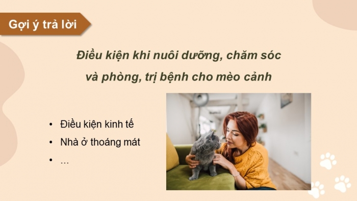 Giáo án điện tử chuyên đề Công nghệ chăn nuôi 11 kết nối Bài 8: Kĩ thuật nuôi dưỡng và chăm sóc mèo cảnh