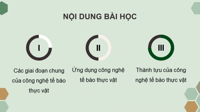 Giáo án điện tử chuyên đề Sinh học 10 chân trời Bài 2: Công nghệ tế bào thực vật và thành tựu