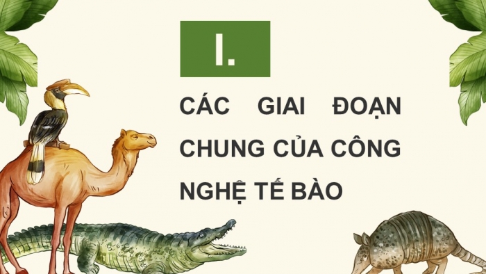 Giáo án điện tử chuyên đề Sinh học 10 chân trời Bài 3: Công nghệ tế bào động vật và thành tựu