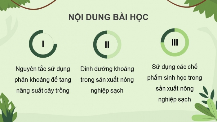 Giáo án điện tử chuyên đề Sinh học 11 chân trời Bài 2: Biện pháp kĩ thuật sử dụng dinh dưỡng khoáng để tăng năng suất cây trồng và tạo nền nông nghiệp sạch