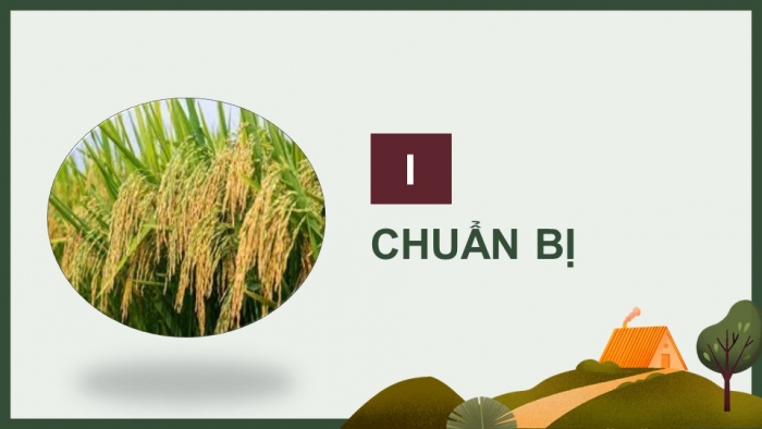 Giáo án điện tử chuyên đề Sinh học 11 chân trời Bài 5: Dự án Điều tra sử dụng phân bón ở địa phương hoặc thực hành Trồng cây với các kĩ thuật bón phân phù hợp