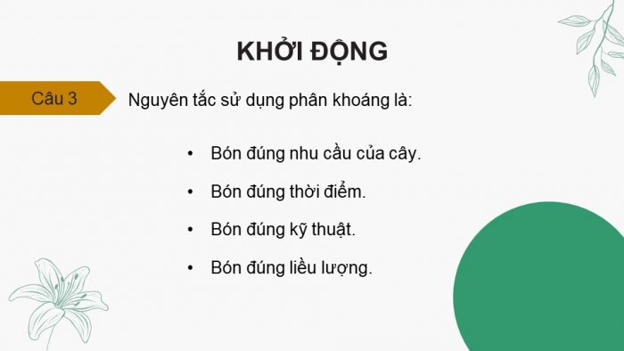 Giáo án điện tử chuyên đề Sinh học 11 chân trời Ôn tập CĐ 1