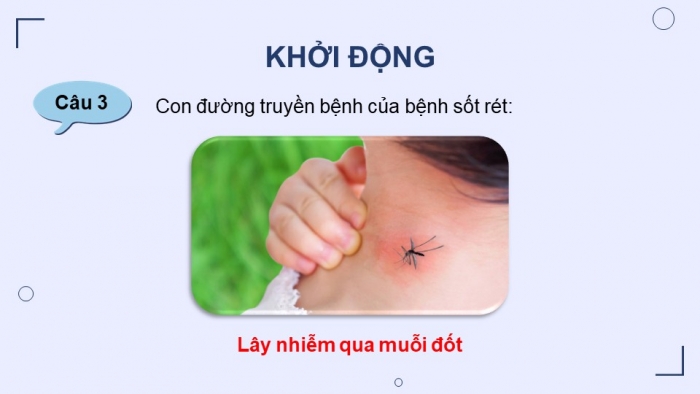 Giáo án điện tử chuyên đề Sinh học 11 chân trời Ôn tập CĐ 2