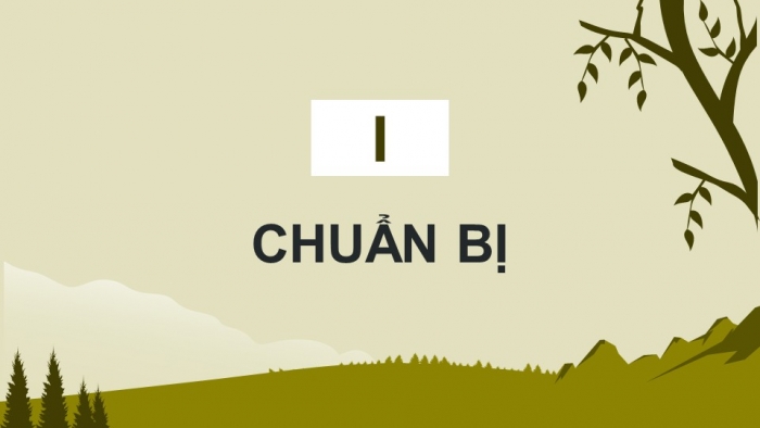 Giáo án điện tử chuyên đề Sinh học 11 chân trời Bài 12: Dự án Điều tra về hiện trạng mất vệ sinh an toàn thực phẩm tại địa phương