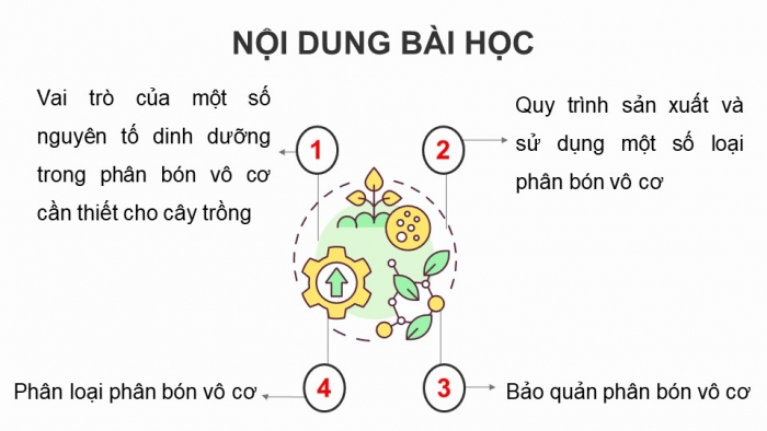 Giáo án điện tử chuyên đề Hoá học 11 cánh diều Bài 2: Phân bón vô cơ