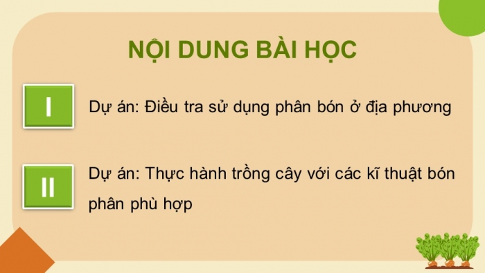 Giáo án điện tử chuyên đề Sinh học 11 cánh diều Bài 3: Dự án điều tra sử dụng phân bón ở địa phương. Thực hành trồng cây với các kĩ thuật bón phân phù hợp