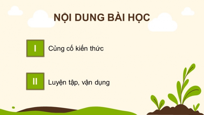 Giáo án điện tử chuyên đề Sinh học 11 cánh diều Ôn tập CĐ 1