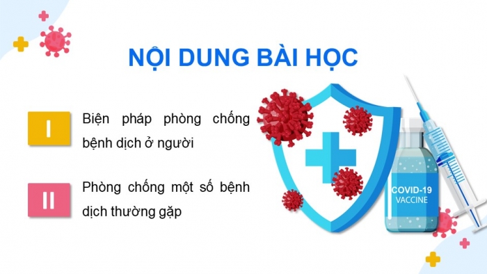 Giáo án điện tử chuyên đề Sinh học 11 cánh diều Bài 6: Các biện pháp phòng chống bệnh dịch ở người