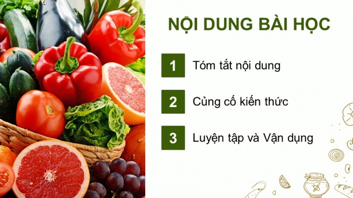 Giáo án điện tử chuyên đề Sinh học 11 cánh diều Ôn tập CĐ 3