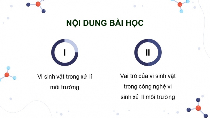 Giáo án điện tử chuyên đề Sinh học 10 chân trời Bài 10: Vai trò của vi sinh vật trong xử lí ô nhiễm môi trường