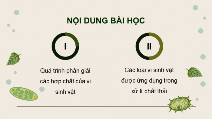 Giáo án điện tử chuyên đề Sinh học 10 chân trời Bài 11: Vi sinh vật trong phân huỷ các hợp chất