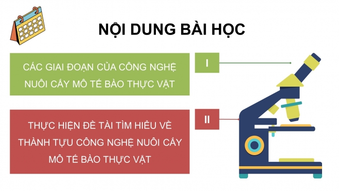 Giáo án điện tử chuyên đề Sinh học 10 cánh diều Bài 3: Các giai đoạn của công nghệ tế bào thực vật