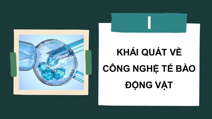 Giáo án điện tử chuyên đề Sinh học 10 cánh diều Bài 4: Cơ sở công nghệ tế bào động vật và ứng dụng