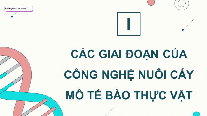 Giáo án điện tử chuyên đề Sinh học 10 cánh diều Bài 5: Các giai đoạn của công nghệ tế bào động vật