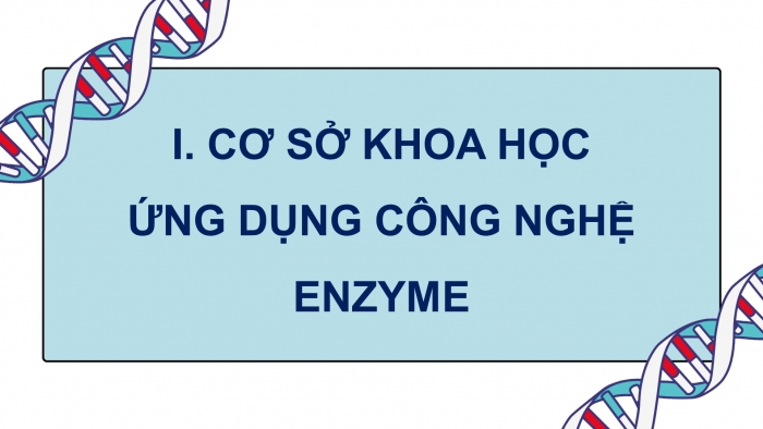 Giáo án điện tử chuyên đề Sinh học 10 cánh diều Bài 7: Cơ sở khoa học và một số thành tựu của công nghệ enzyme