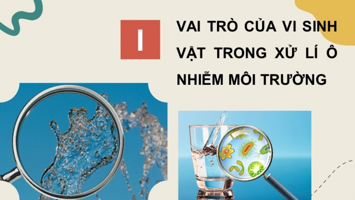 Giáo án điện tử chuyên đề Sinh học 10 cánh diều Bài 11: Khái quát về vi sinh vật trong xử lí ô nhiễm môi trường