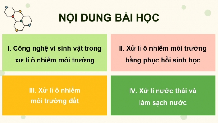 Giáo án điện tử chuyên đề Sinh học 10 cánh diều Bài 12: Công nghệ ứng dụng vi sinh vật trong xử lí ô nhiễm môi trường đất, nước