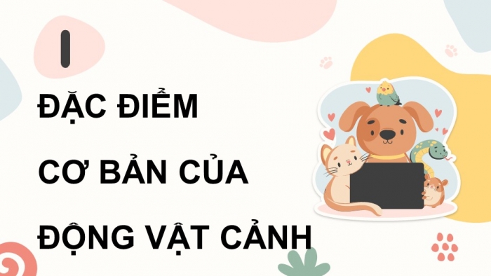 Giáo án điện tử chuyên đề Công nghệ chăn nuôi 11 kết nối Bài 6: Giới thiệu về động vật cảnh