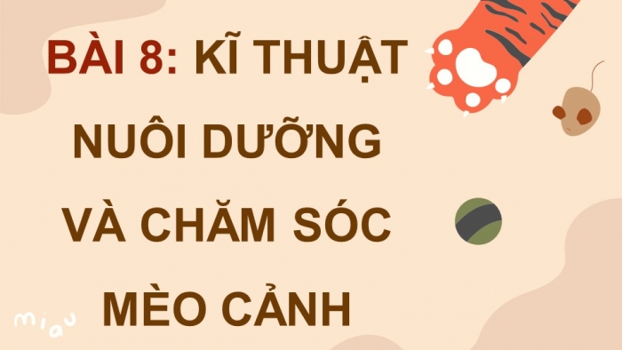 Giáo án điện tử chuyên đề Công nghệ chăn nuôi 11 kết nối Bài 8: Kĩ thuật nuôi dưỡng và chăm sóc mèo cảnh