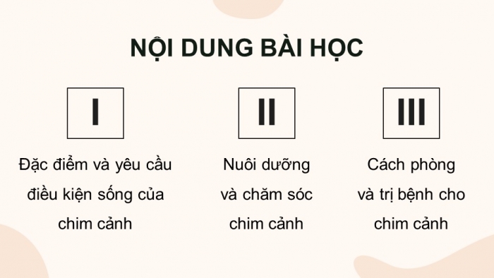 Giáo án điện tử chuyên đề Công nghệ chăn nuôi 11 kết nối Bài 9: Kĩ thuật nuôi dưỡng và chăm sóc chim cảnh