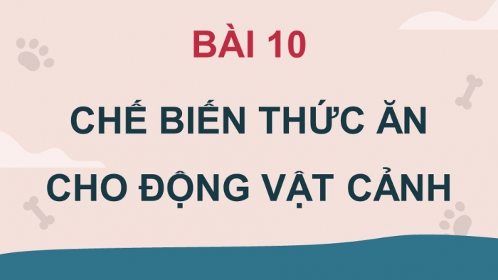 Giáo án điện tử chuyên đề Công nghệ chăn nuôi 11 kết nối Bài 10: Chế biến thức ăn cho động vật cảnh