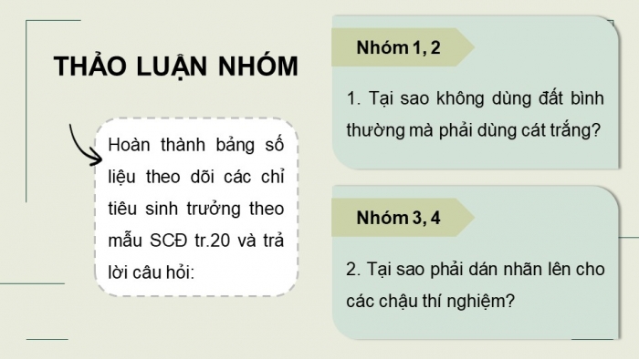 Giáo án điện tử chuyên đề Sinh học 11 chân trời Bài 4: Thực hành Chứng minh tác dụng của phân bón đối với sinh trưởng, phát triển và năng suất cây trồng