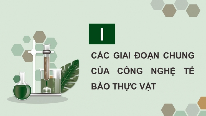 Giáo án điện tử chuyên đề Sinh học 10 chân trời Bài 2: Công nghệ tế bào thực vật và thành tựu