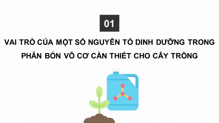 Giáo án điện tử chuyên đề Hoá học 11 cánh diều Bài 2: Phân bón vô cơ