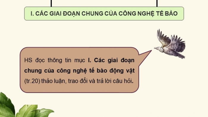 Giáo án điện tử chuyên đề Sinh học 10 chân trời Bài 3: Công nghệ tế bào động vật và thành tựu