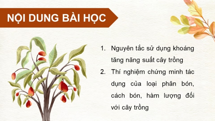 Giáo án điện tử chuyên đề Sinh học 11 cánh diều Bài 1: Nguyên tắc sử dụng khoáng tăng năng suất cây trồng