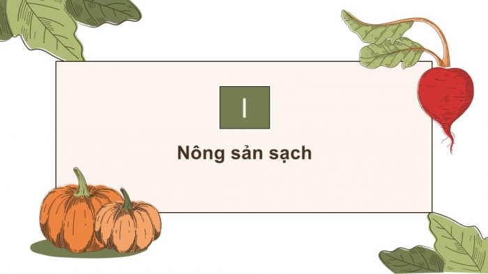 Giáo án điện tử chuyên đề Sinh học 11 cánh diều Bài 2: Nông nghiệp sạch