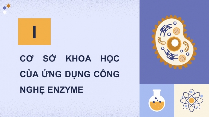 Giáo án điện tử chuyên đề Sinh học 10 chân trời Bài 7: Quy trình công nghệ sản xuất enzyme