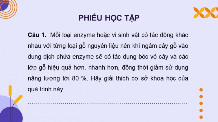 Giáo án điện tử chuyên đề Sinh học 10 chân trời Ôn tập CĐ 2